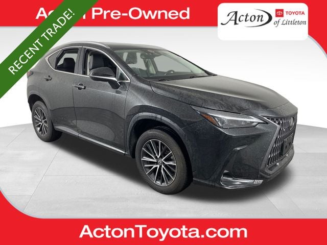 2024 Lexus NX 350 350 AWD's photo