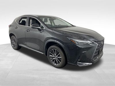 2024 Lexus NX 350 Base