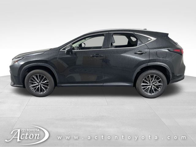 2024 Lexus NX 350 Base