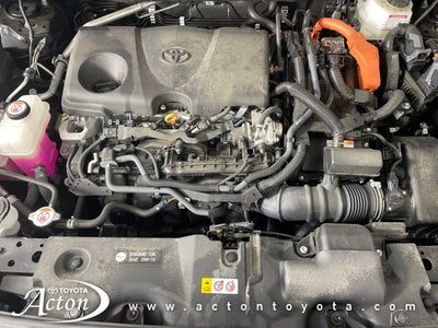 2024 Toyota RAV4 HYBRID Woodland Edition