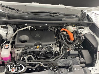 2024 Toyota RAV4 HYBRID XLE Premium