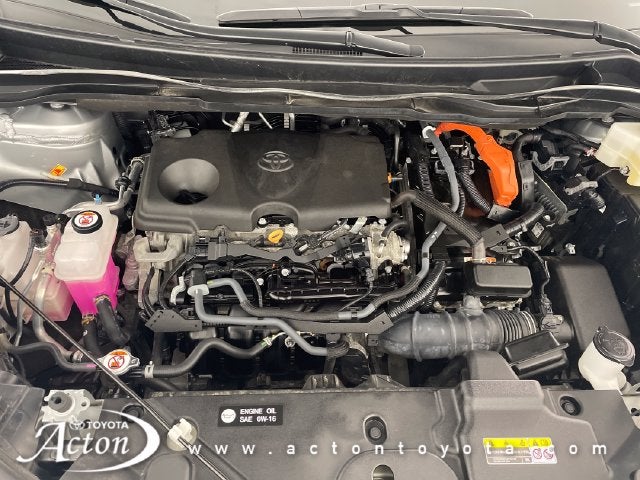 2025 Toyota Sienna XSE 7 Passenger