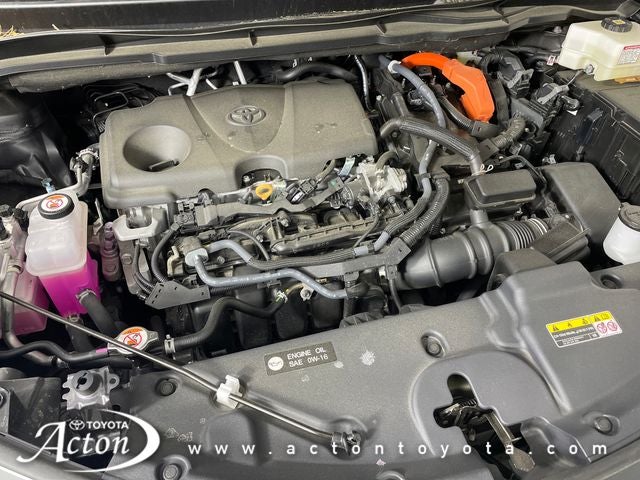 2025 Toyota Sienna XLE 7 Passenger